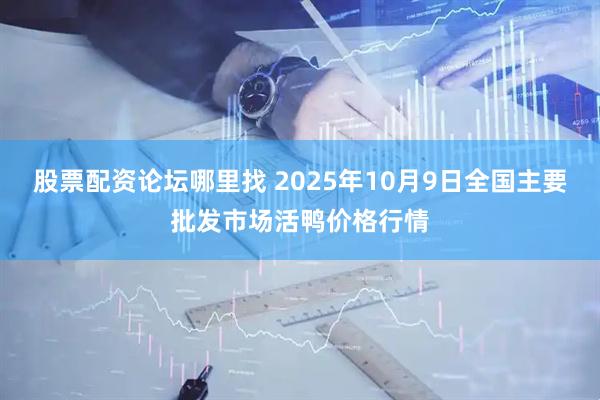 股票配资论坛哪里找 2025年10月9日全国主要批发市场活鸭价格行情