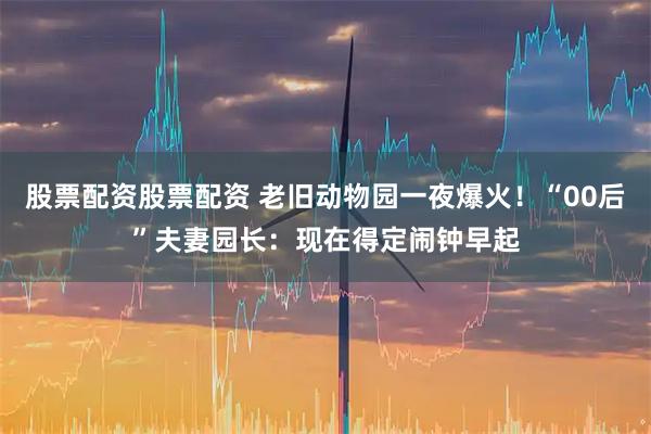 股票配资股票配资 老旧动物园一夜爆火！“00后”夫妻园长：现在得定闹钟早起
