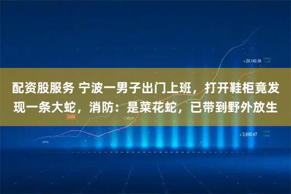 配资股服务 宁波一男子出门上班，打开鞋柜竟发现一条大蛇，消防：是菜花蛇，已带到野外放生